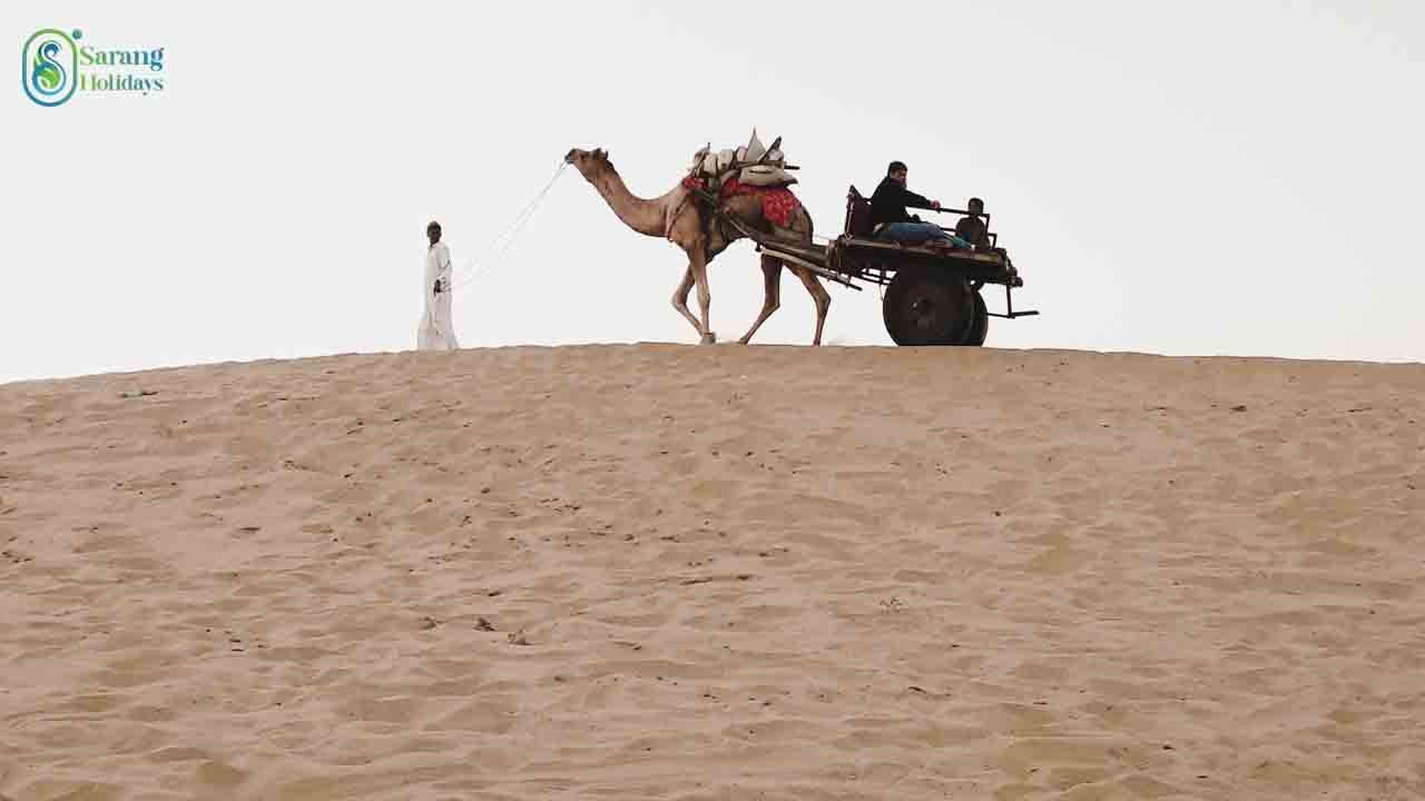 Sarang Vacations Jaipur
