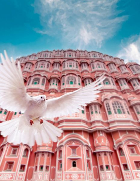 Discover the Majestic Hawa Mahal in Jaipur!